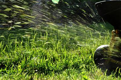 Dr. Ronald Connor on Lawn Mower Safety