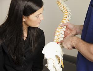 Spine model education