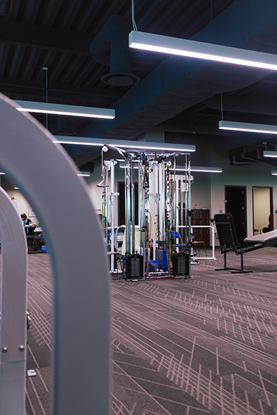 Physical Therapy at TSAOG