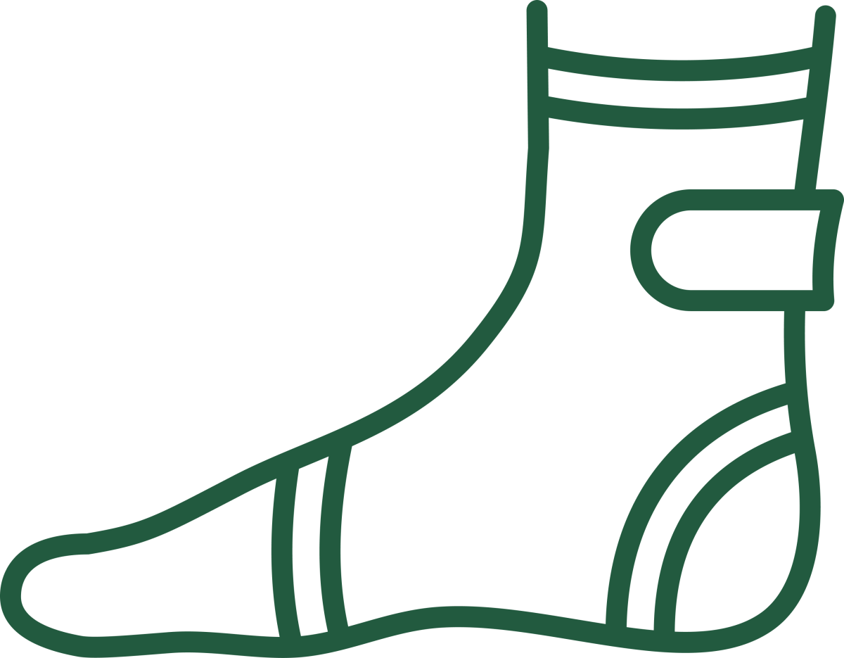 Ankle Fracture