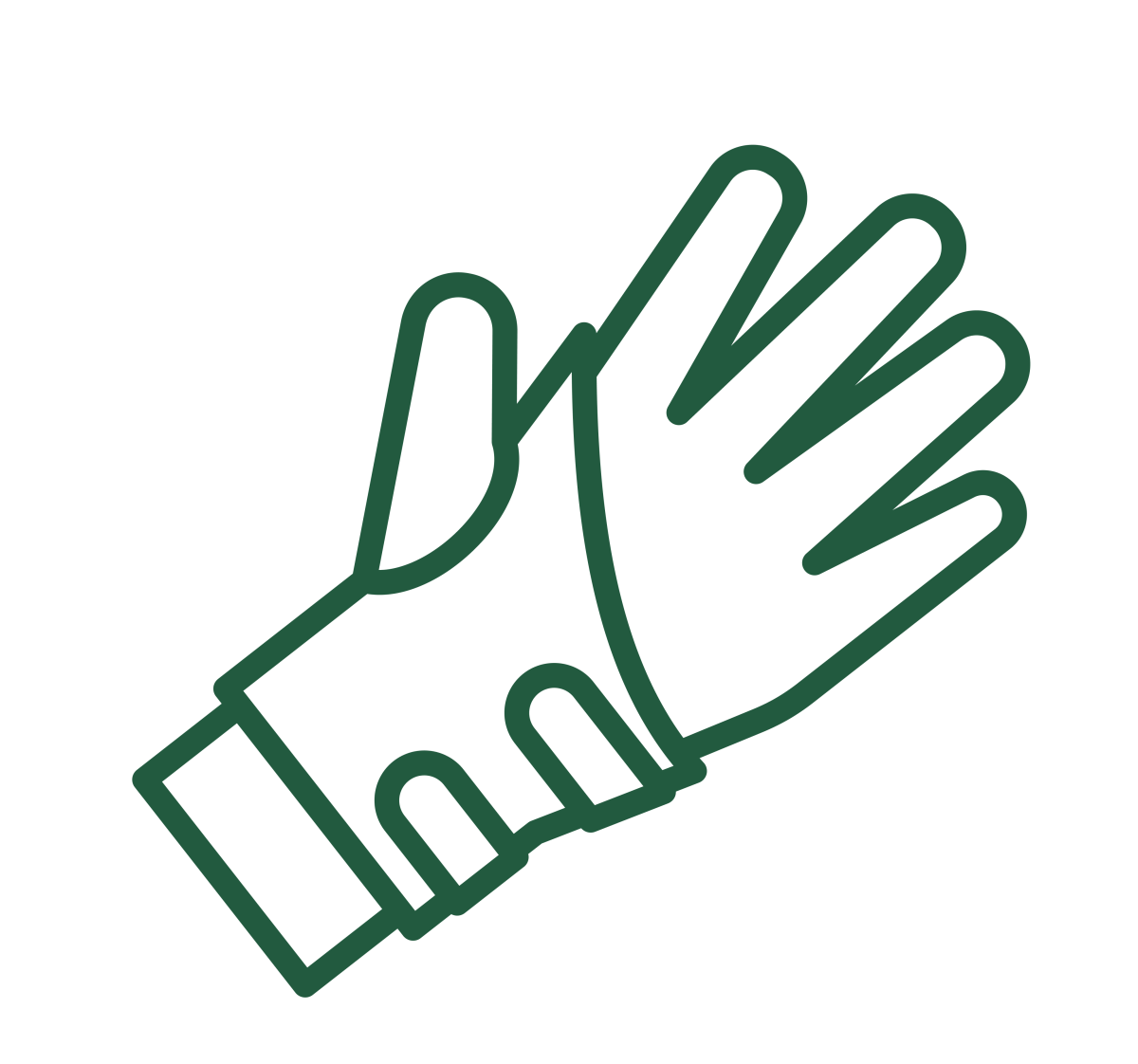 Wrist Fracture (distal radius)